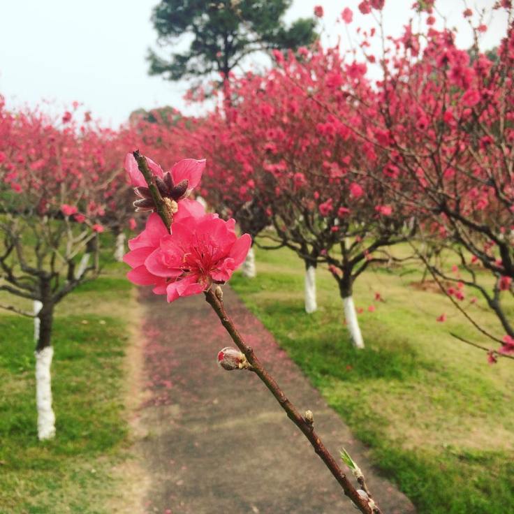 28061707_10105698980628964_8888193388138724604_o