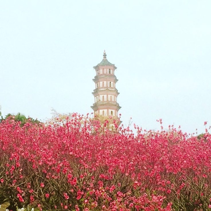 28279245_10105698982530154_4120075384155278864_n